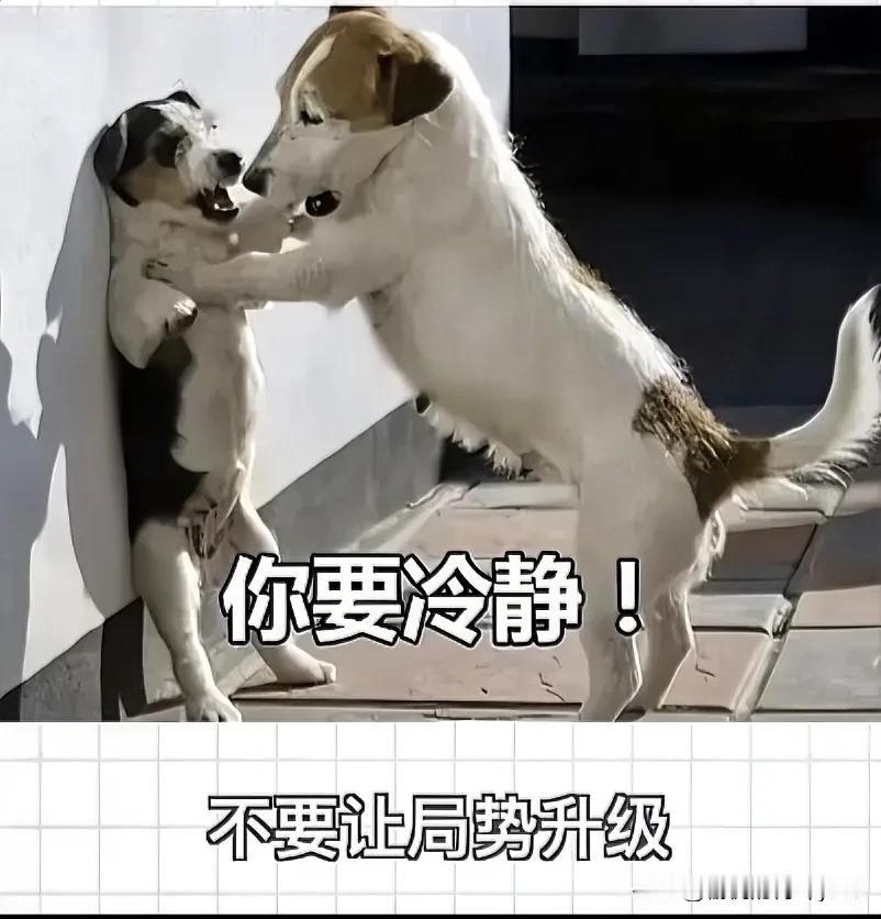 记住我说的这句话，翻脸是解决人际矛盾最有效的方法。有些事儿偶尔就是要计较一下，让