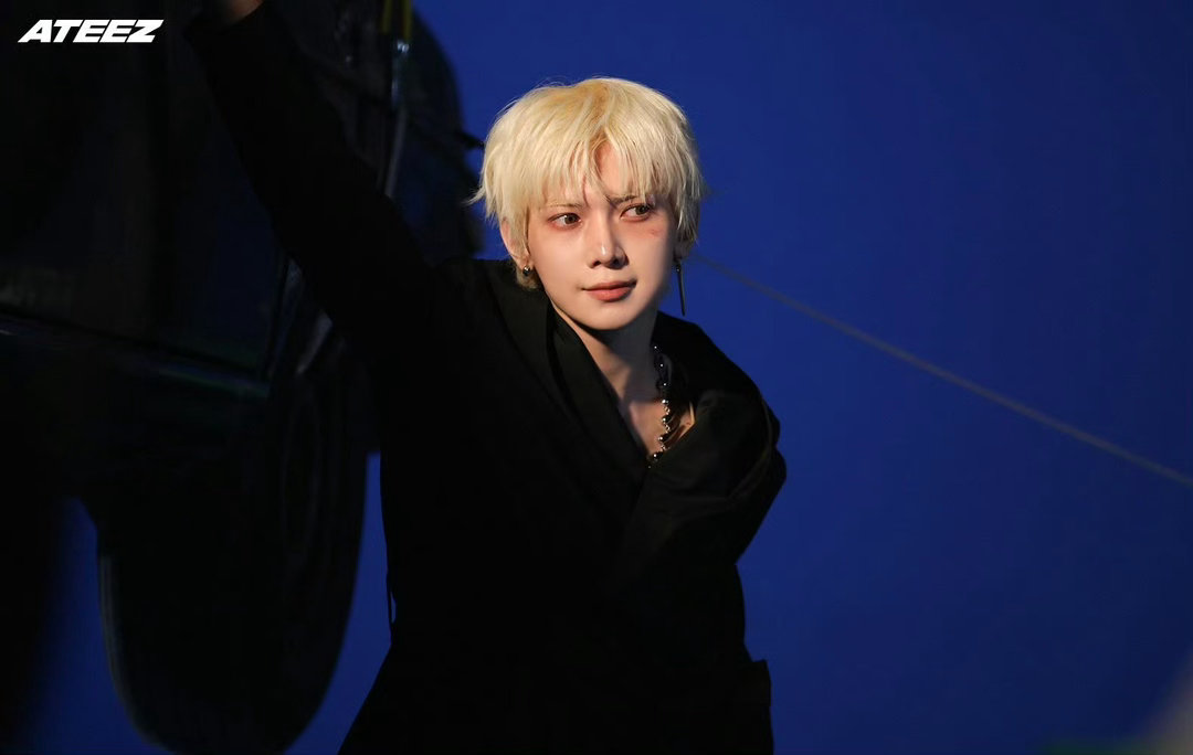 这只马尔济斯很萌 