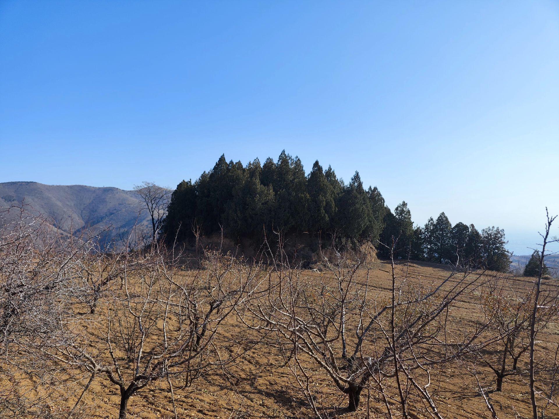 燕妃墓，位于昭陵陵山东南方向，离主峰较近，规格颇高。墓前有石羊、石虎...