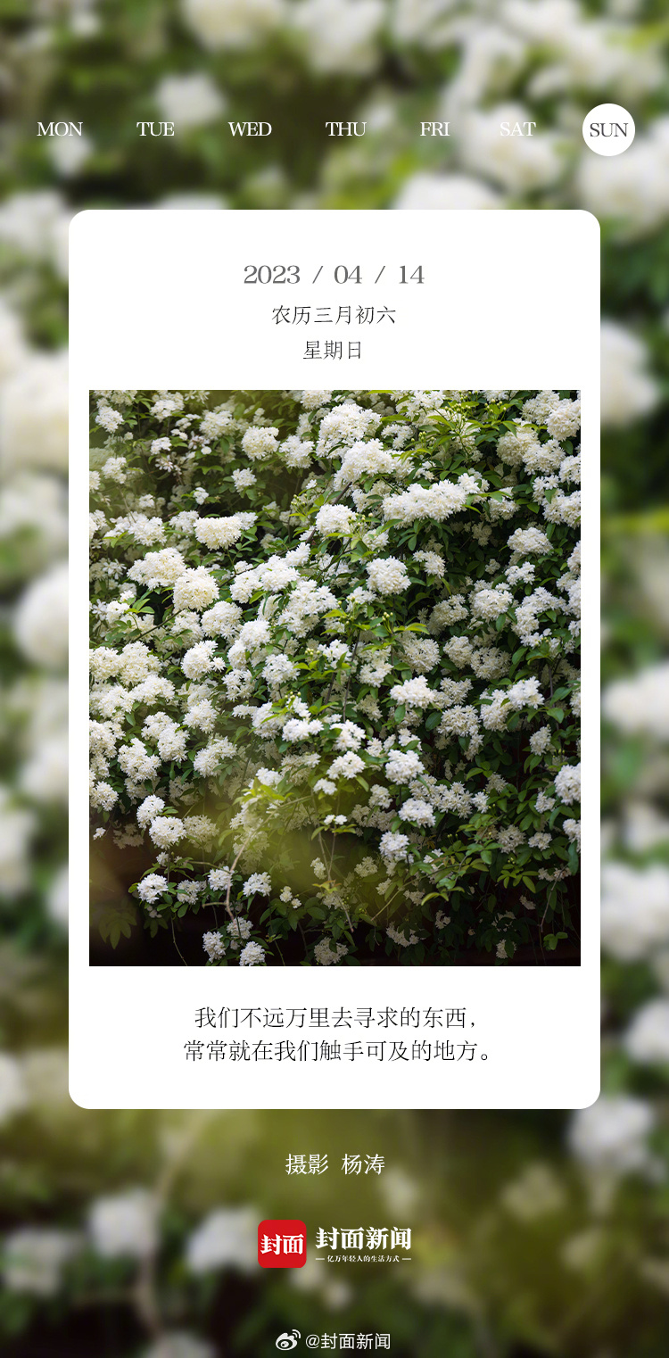 #小封日历# 周天啦！今天准备去哪玩？[我想开了] ​​​