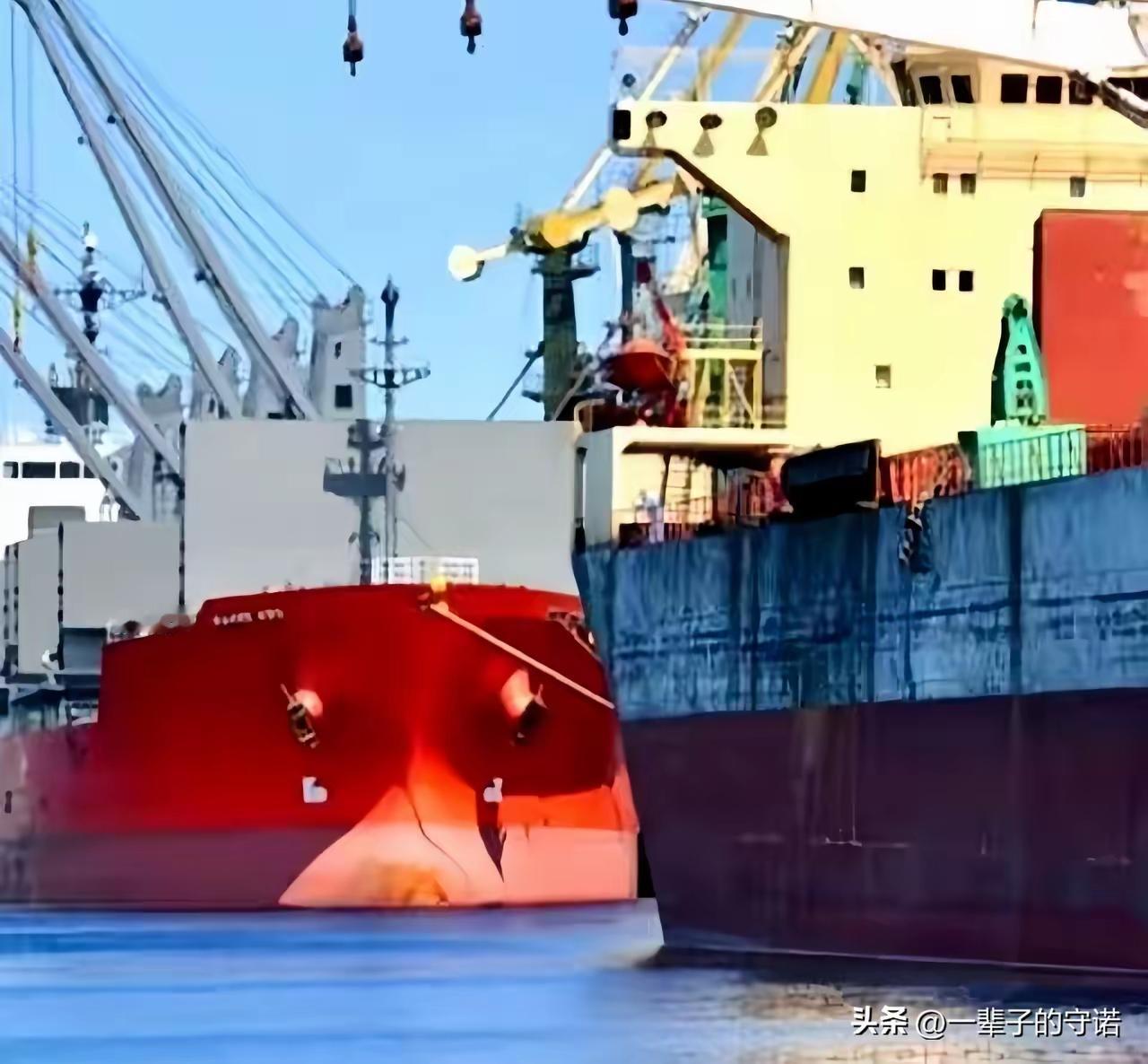 一艘满载6.9万吨巴西大豆运到家门口，被我们原路退回！
​巴西农业部说了，中国在