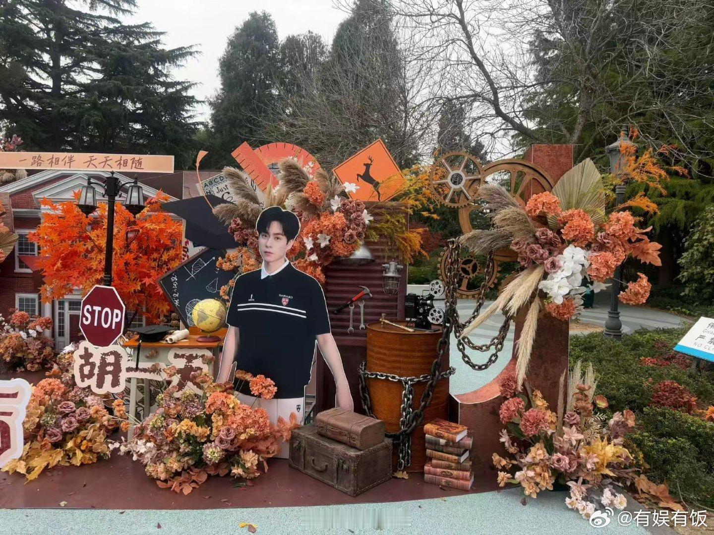 田曦薇胡一天天才女友杀青应援，好看， 