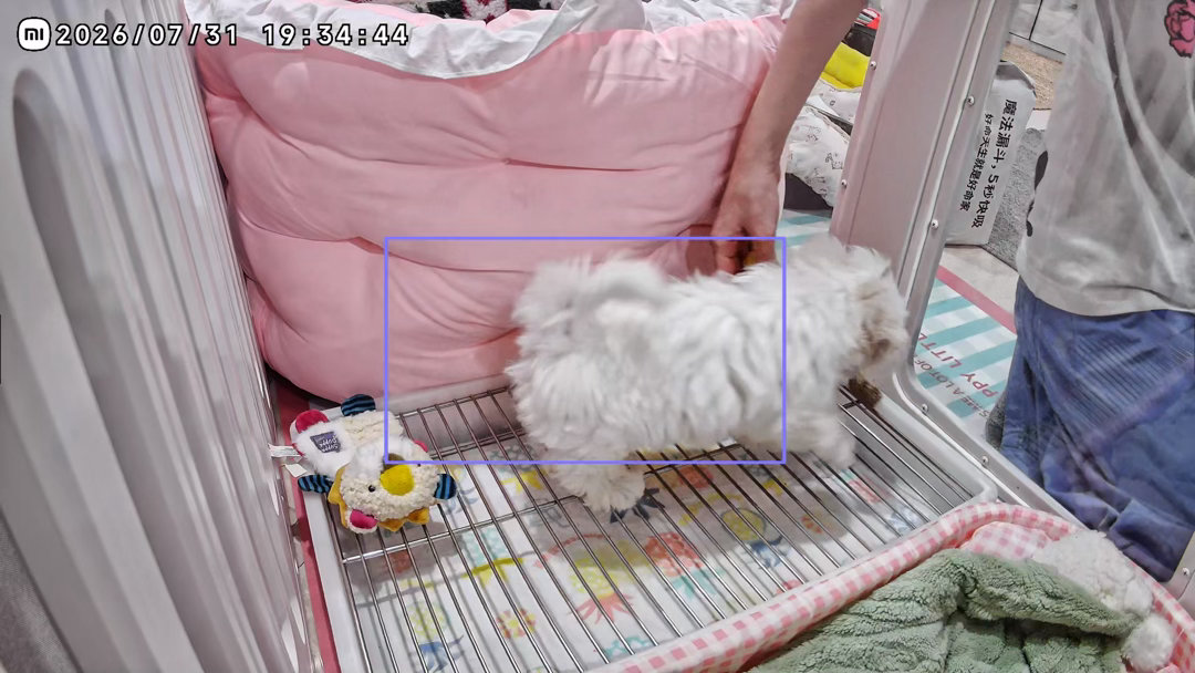 因为Evian尿错了一次又把她的豪宅缩小了目前是一室一卫 