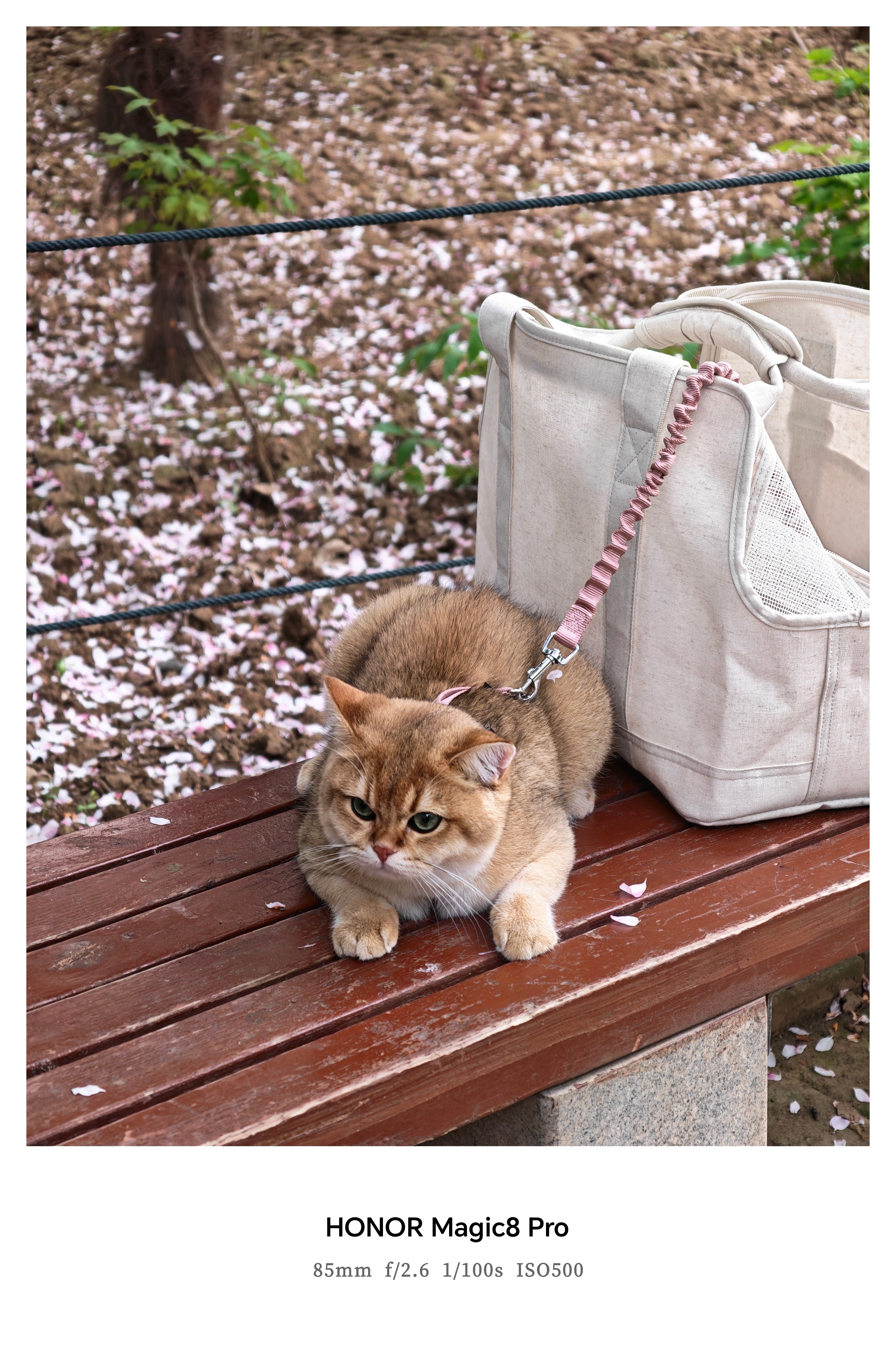 谁懂这次换手机的意义 被各地文旅发布的素颜色环转场硬控住了！这就是换手机的意义吧