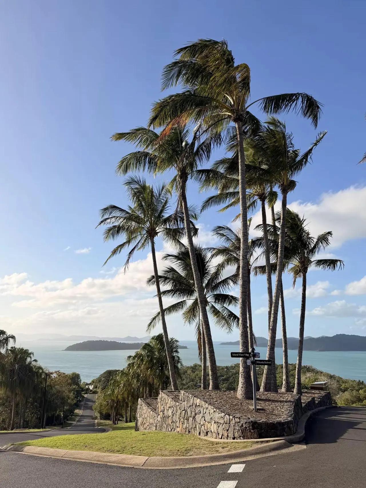 黄金白银或许还有预期，但也已经是末期了，小心为好！