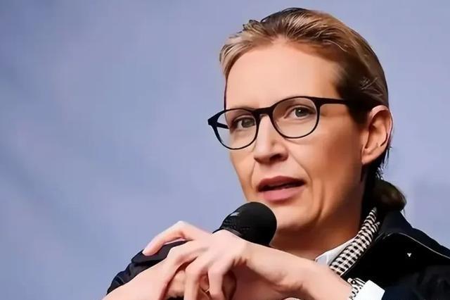 魏德尔是欧洲难得的清醒政客了吧？

最近几年，德国政坛有一个名字越来越绕不开：爱