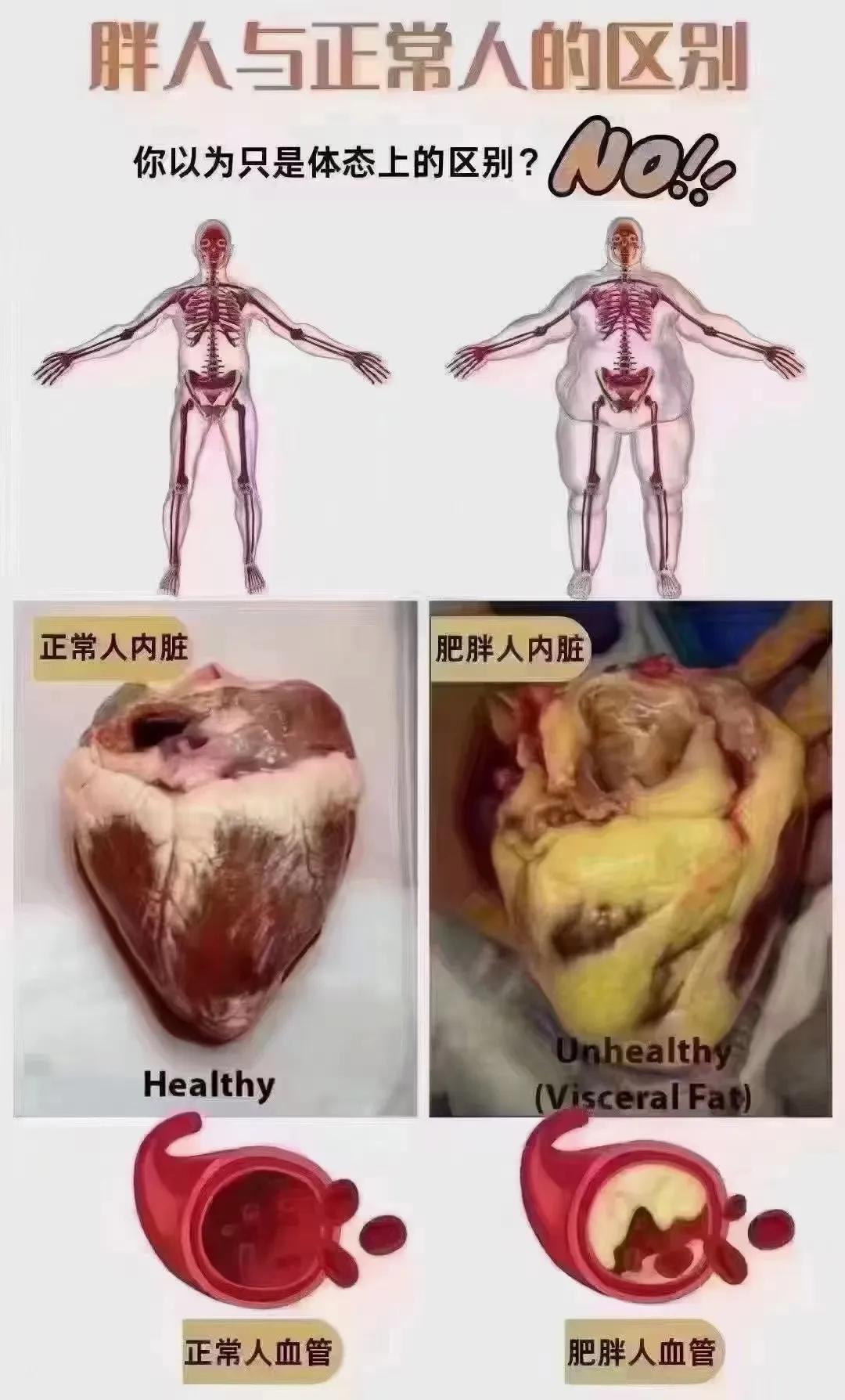 前几天和一个高中同学相聚。虽然十几年不见，老同学还是那么热情，我们一起吃饭喝酒，