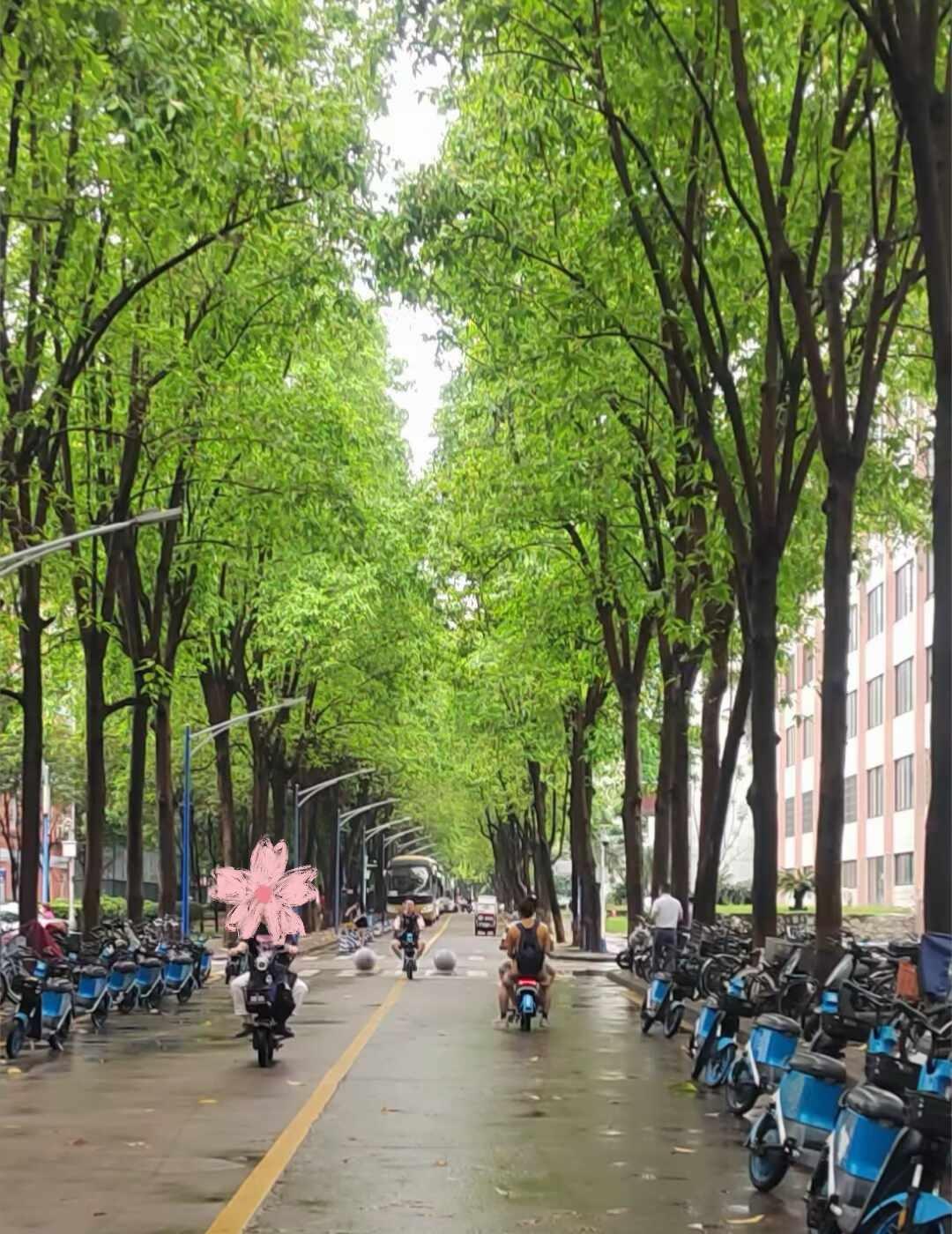 学生要中考了，想收集世界各地IP中考祝福语
谢谢大家如果可以的话
广州 中考加油