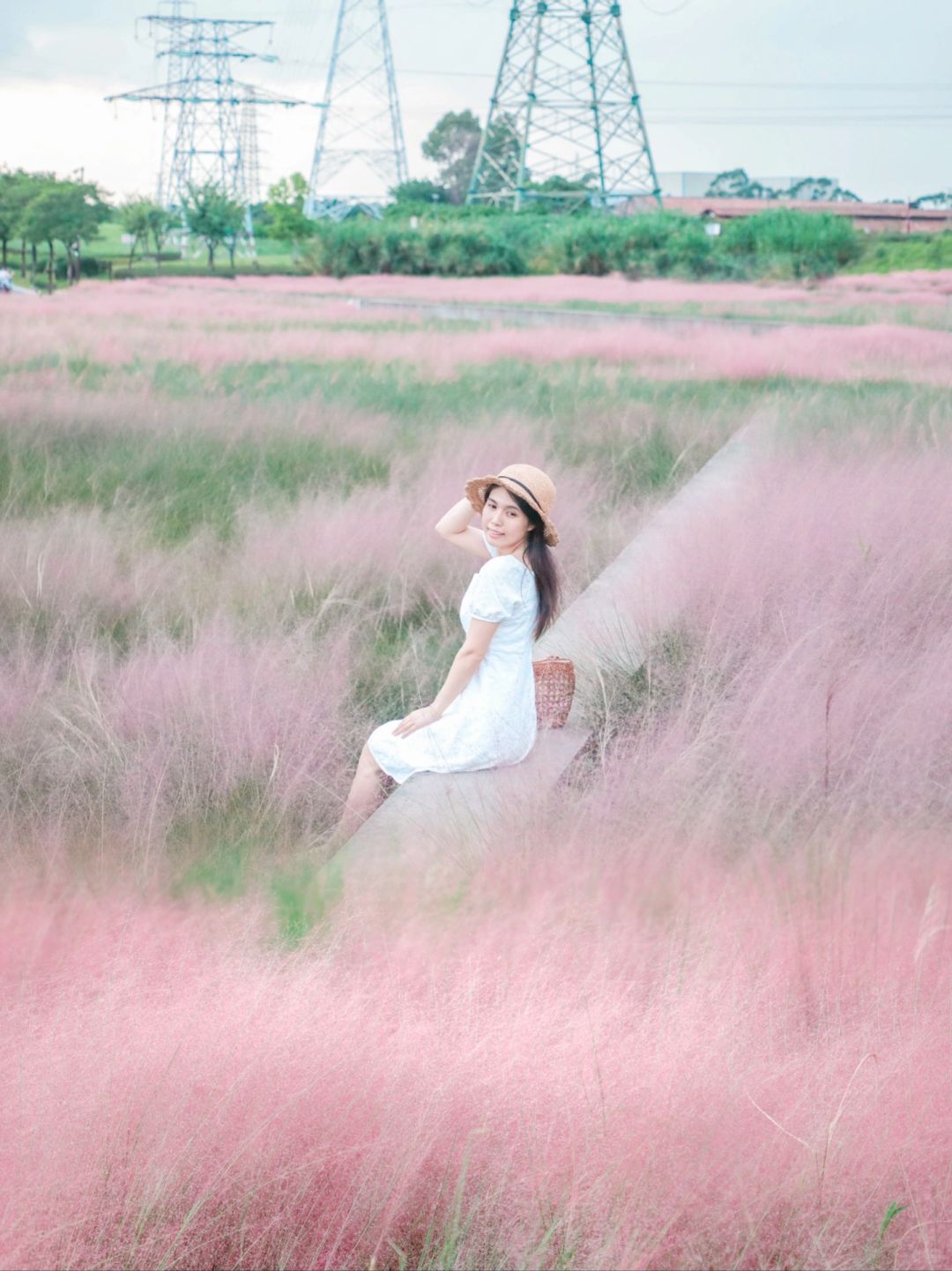 广州周边｜秋日限定粉黛开啦🌸还能湖边露营