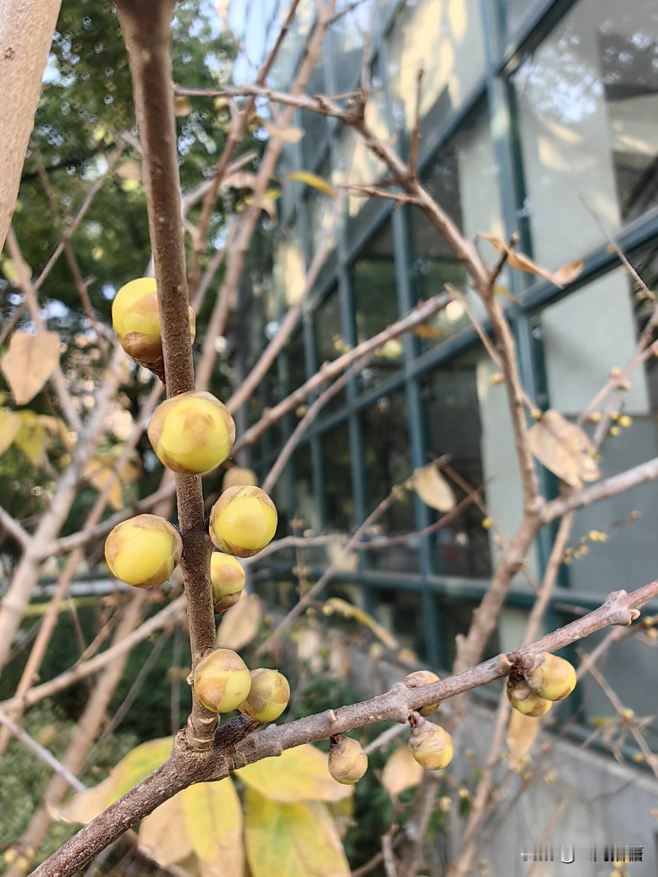 空闲时间，应该去薅“小羊毛”吗不知不觉，薅了两个月羊毛了，真是乐此不疲呢，算了算