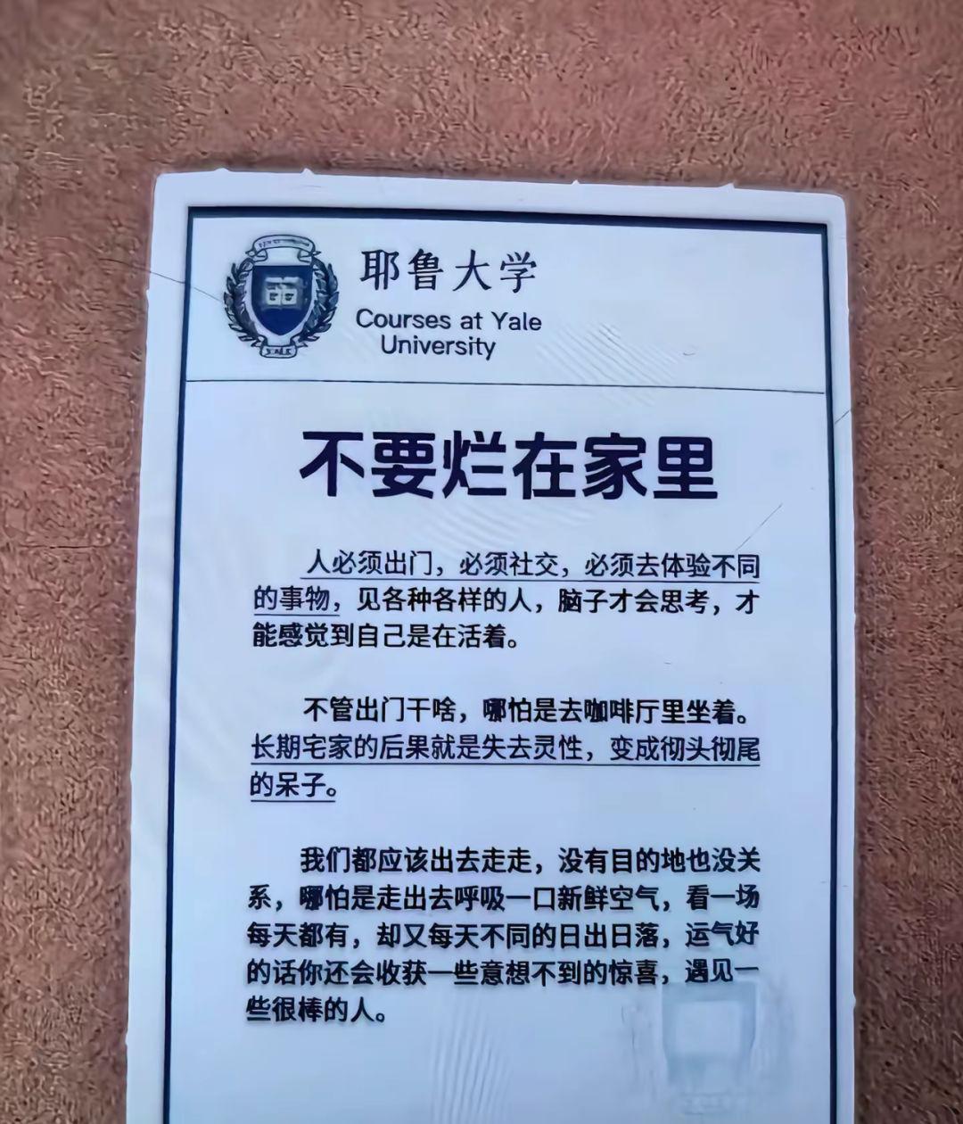 没讲什么大道理，就直白地说：人得出门、得社交、得见不同的人和事，脑子才会转起来，