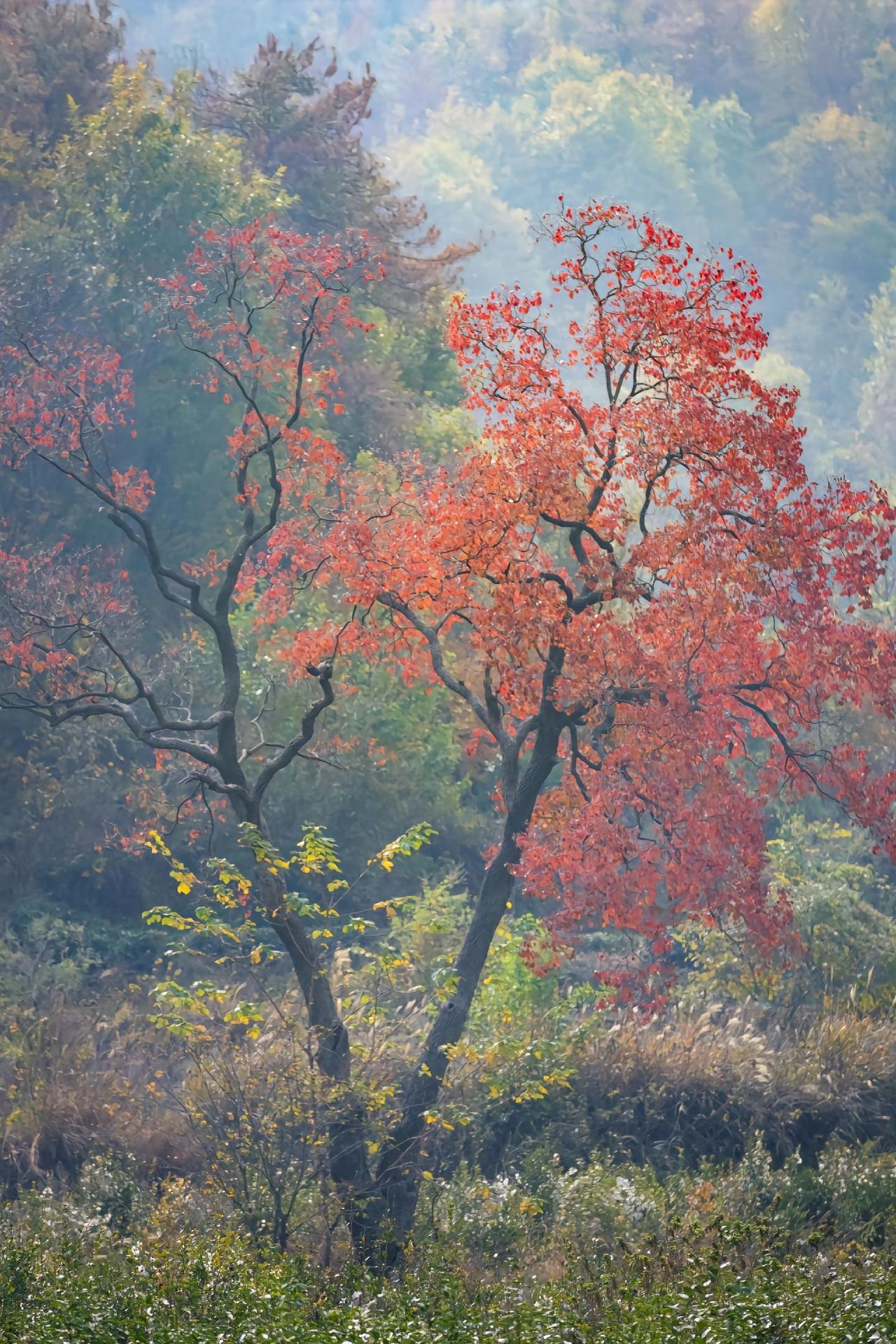 时常有老师向我推荐，说某某老师挺不错，问能不能给他安排几节课。我回应道，尽管咱们