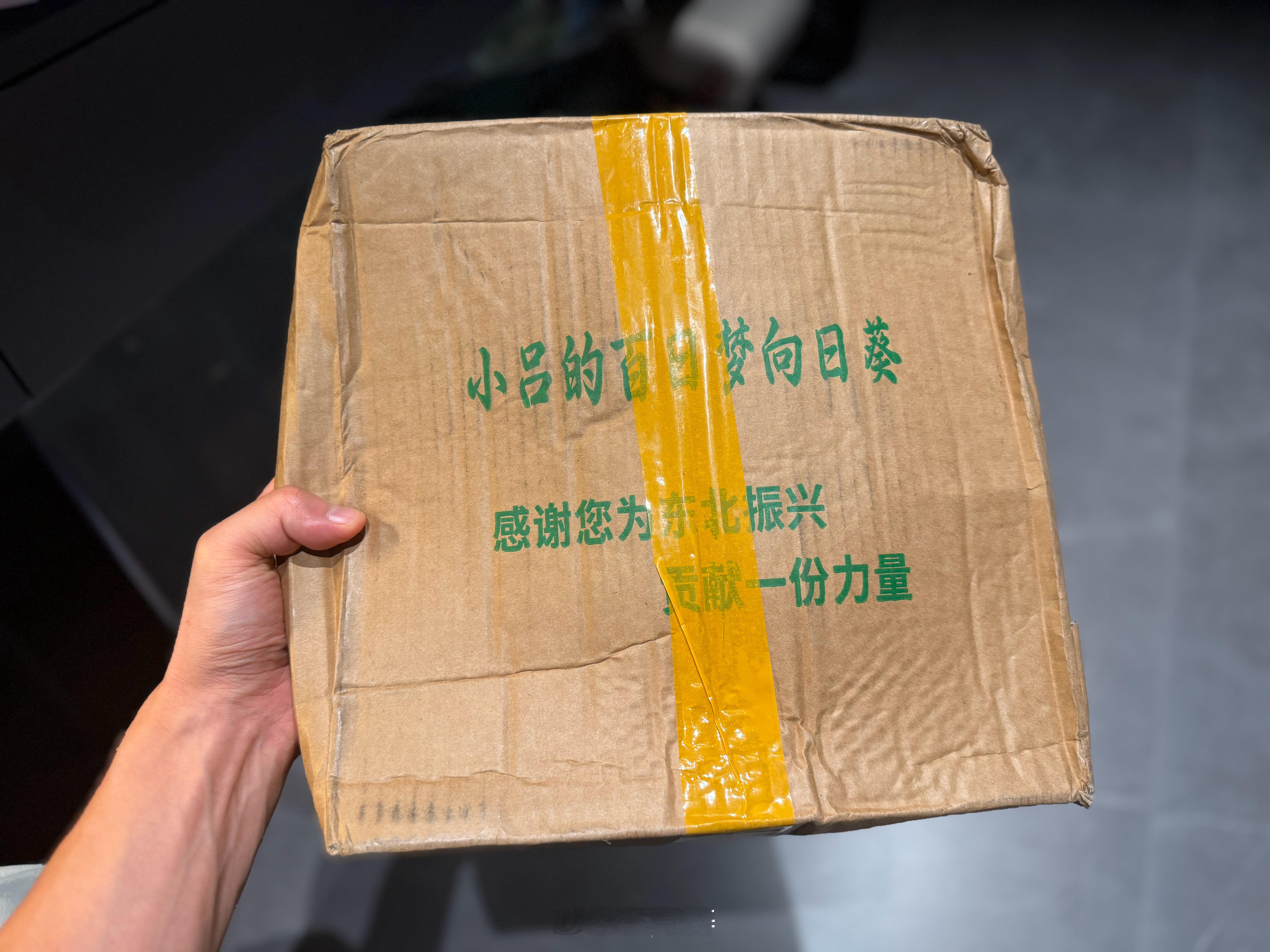 我也是吃上东北向日葵了[柯基]我的日常plog ​​​