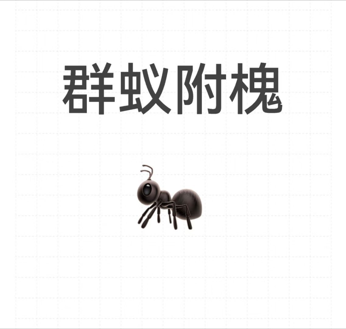 送给红姨和它的粉丝 ​​​