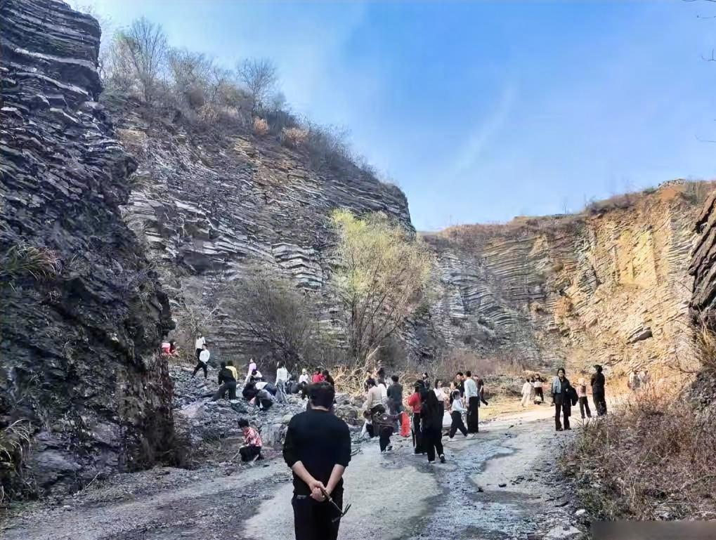 春节假期，绍兴诸暨陶家村一下子就火了。

好多人带着一家老小，拎着榔头、铁镐就冲