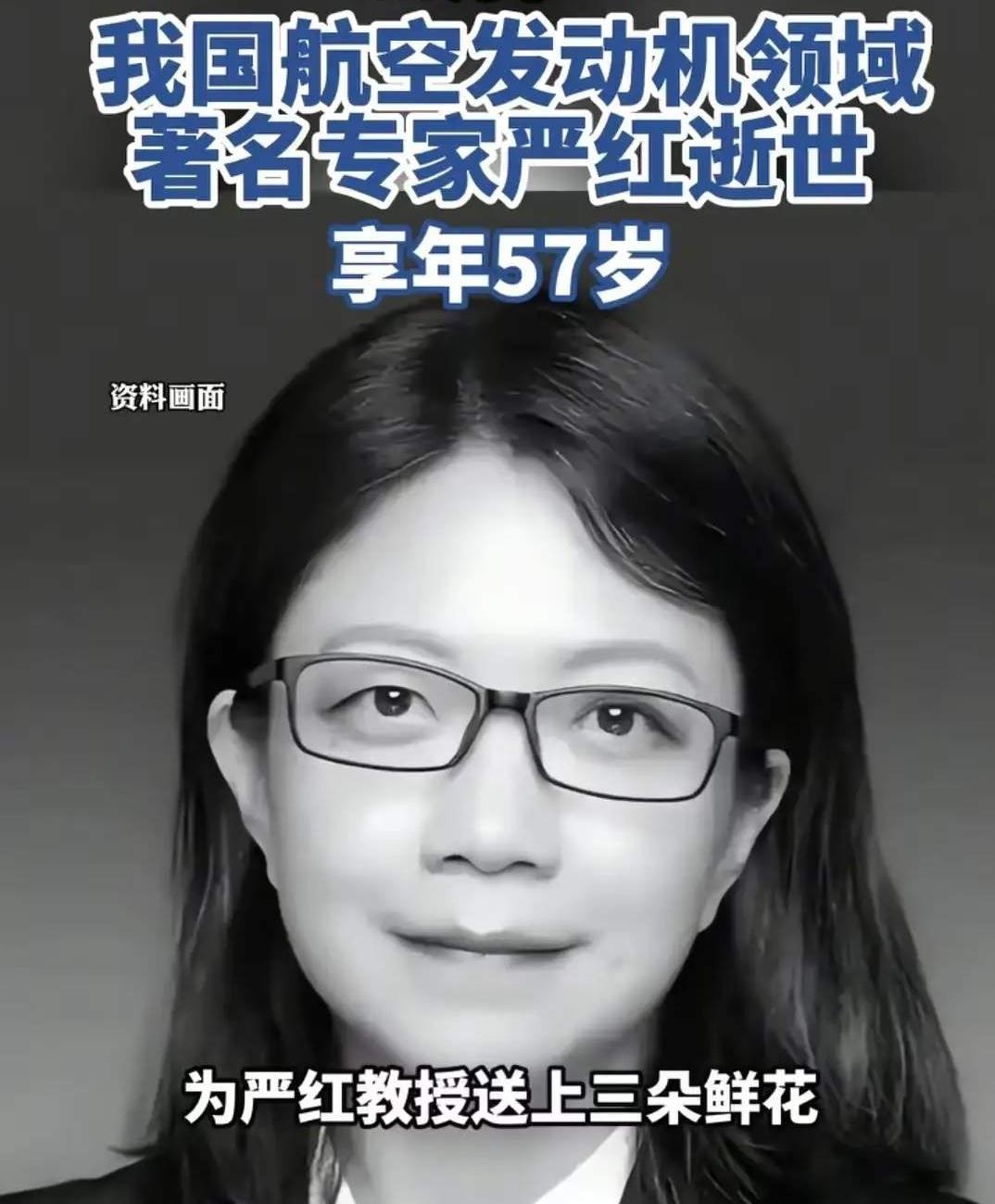 她叫严红，你可能没听过。

1969年生，西工大本硕博，清华博士后，美国莱特州立