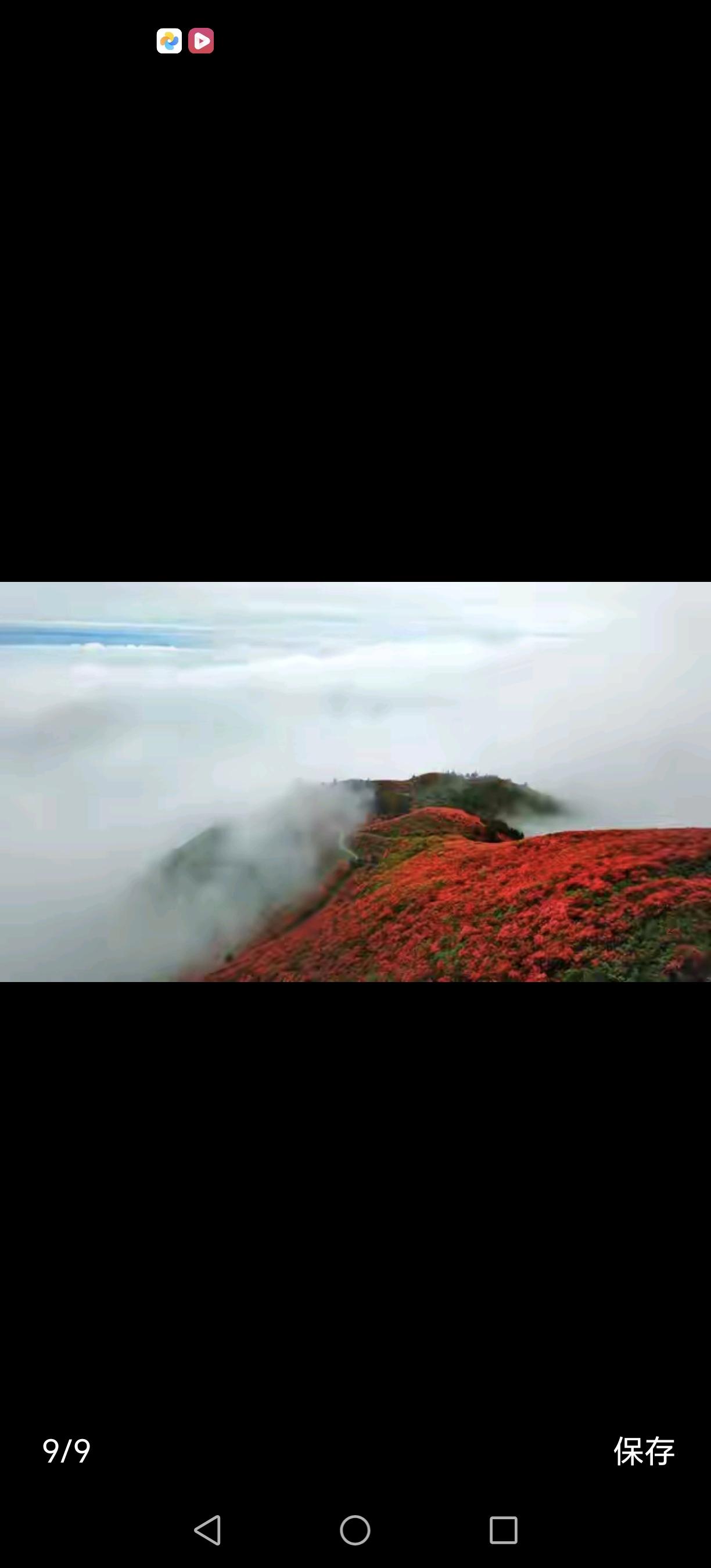 在静默中盛开：把心绪深藏，让生活添福

在这个喧嚣的时代，似乎每个人都在用声音证