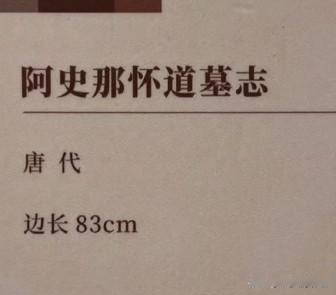 唐《阿史那怀道墓志》：一块石头上的西突厥往事 

 
咸阳的黄土下，藏着一段被历