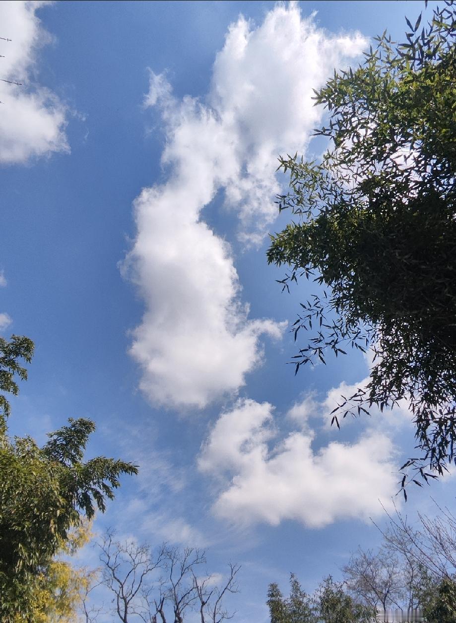 沏一盏清茶，静下心来，回首半生历程。

年少时，一心追逐功名利禄，过分在意外在脸