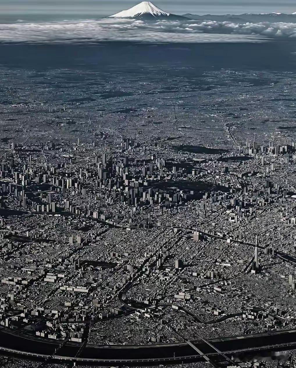 日本这样的人口密度，最怕什么？