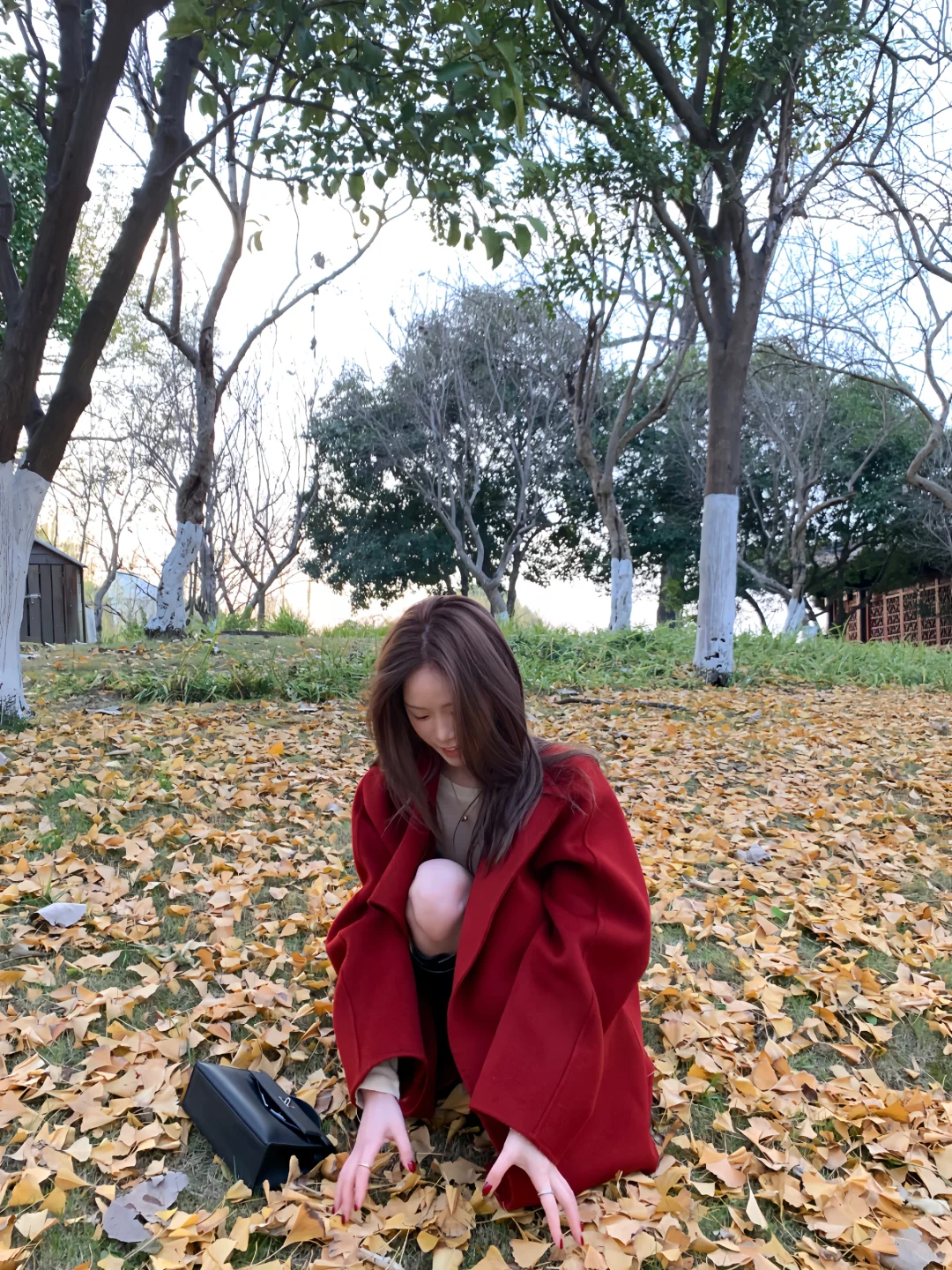 🍂保持更新