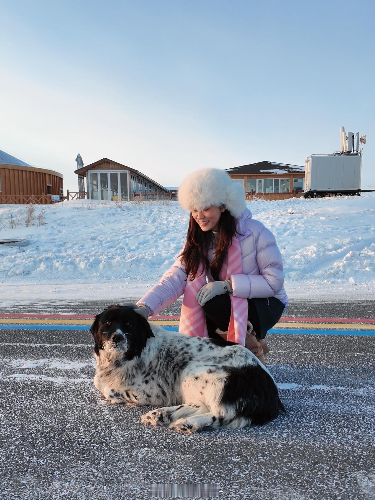 在零下30°C的呼伦贝尔开腾势确实是有惊喜给到我的就一个字“稳”实在是，太太太太