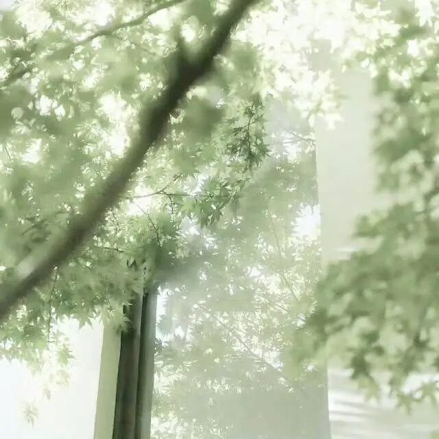 绿色系背景图 | 浅色系背景图 | 清新风背景图 | 现代风背景图 | 梦幻风背