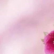 阳光信用  永远做一个美好、乐观、阳光、向上的人，不管生活中遭遇了什么，都能勇敢