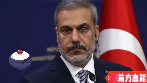 巴黎这场会，气氛挺热烈。三十多国代表坐在一起谈乌克兰的未来，表面看是团结。但仔细