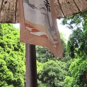 小蜗牛想去山顶看日落，爬得很慢，小虫都嘲笑它。它每天慢慢挪，累了就歇一会儿，花开