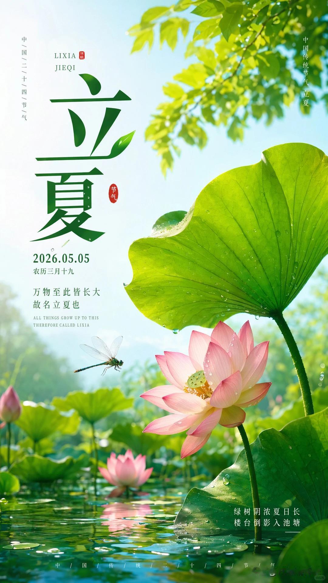 立夏至，夏初长，南风缓缓吹，万物皆繁盛。阳光温柔不燥热，满眼都是青绿，蝉鸣渐起，