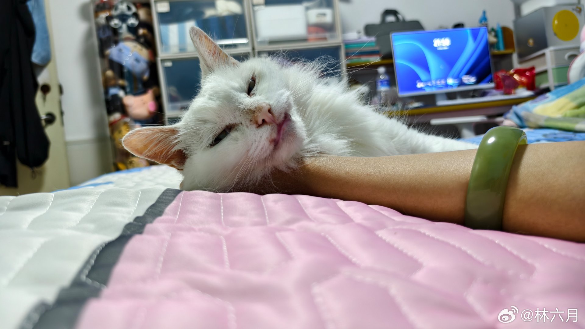 猥琐の糯米 
