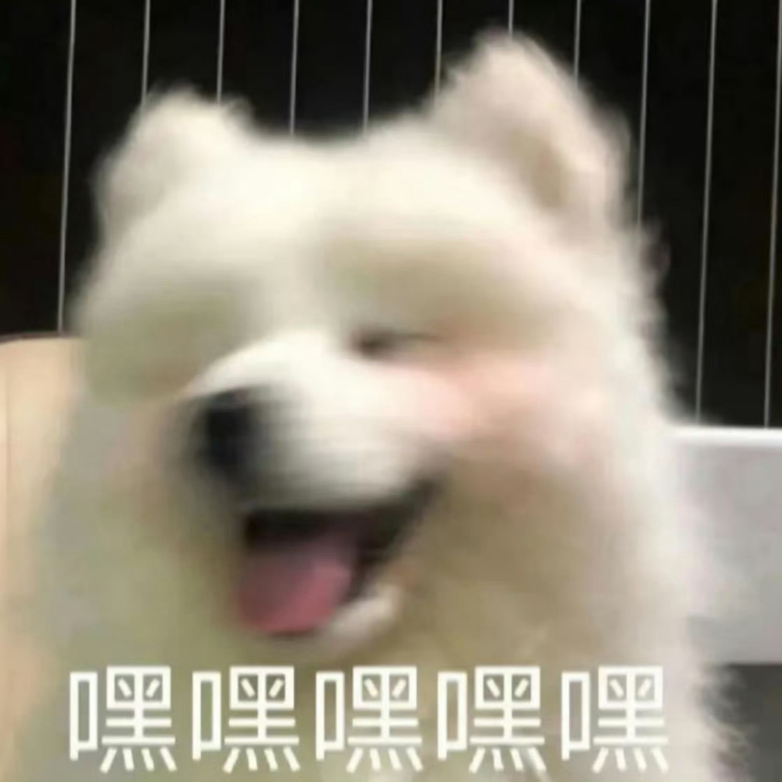 如果我现在银行卡里有一亿元，我的精神衰弱、躁郁症、抑郁症、颈椎病、腰疼、头疼全都