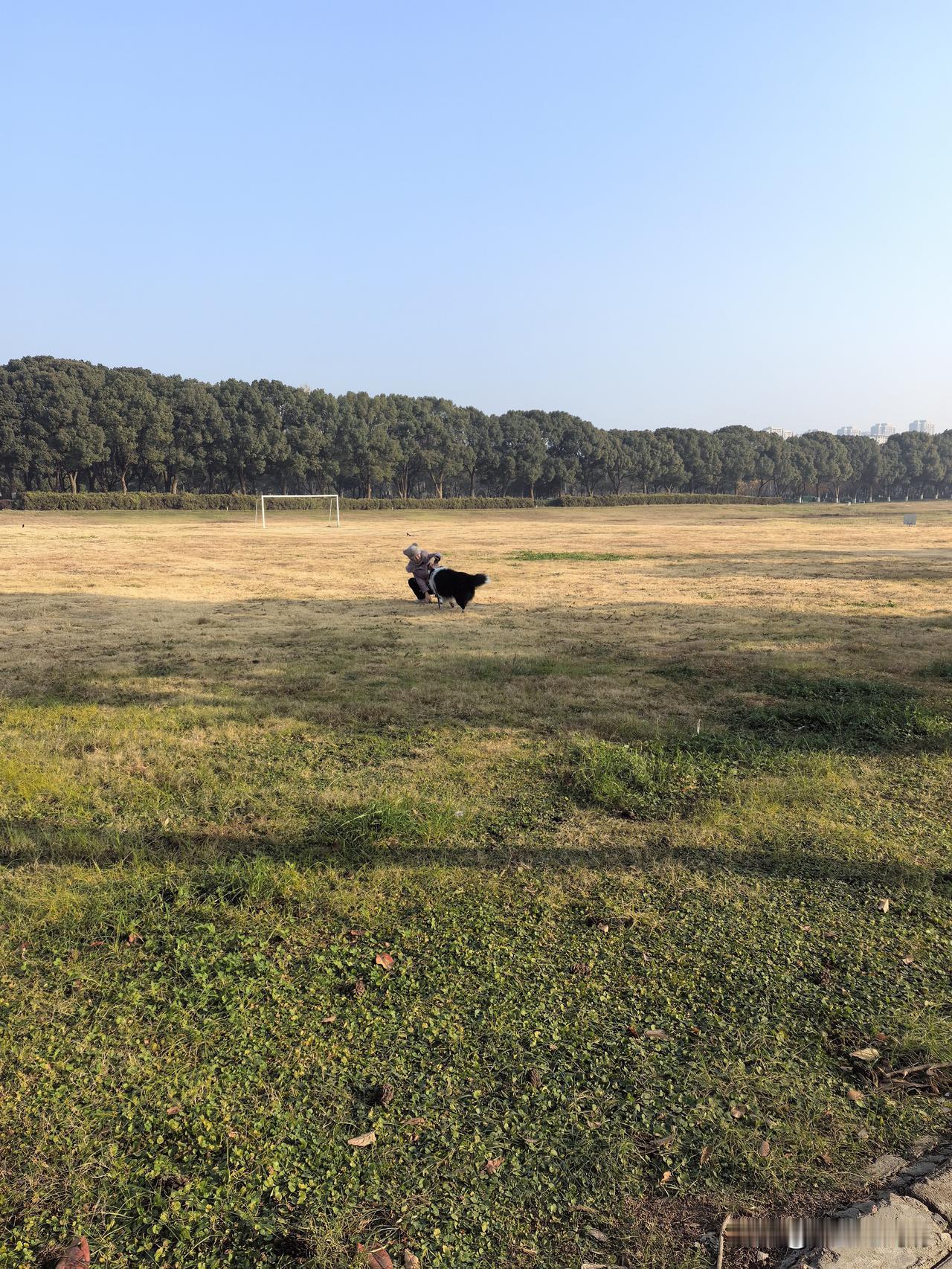 给草地浇水

路过很大一片草地，有人在遛狗，狗在草地上打滚撒欢，主人则蹲在旁边拿