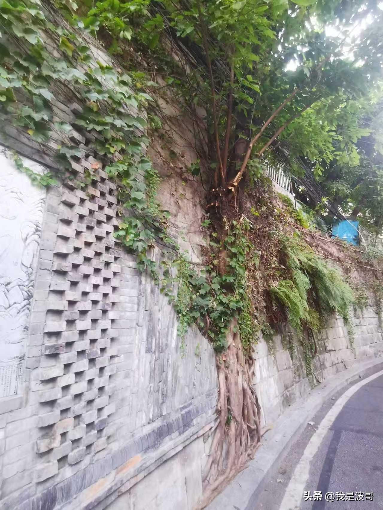 满满的生命力！