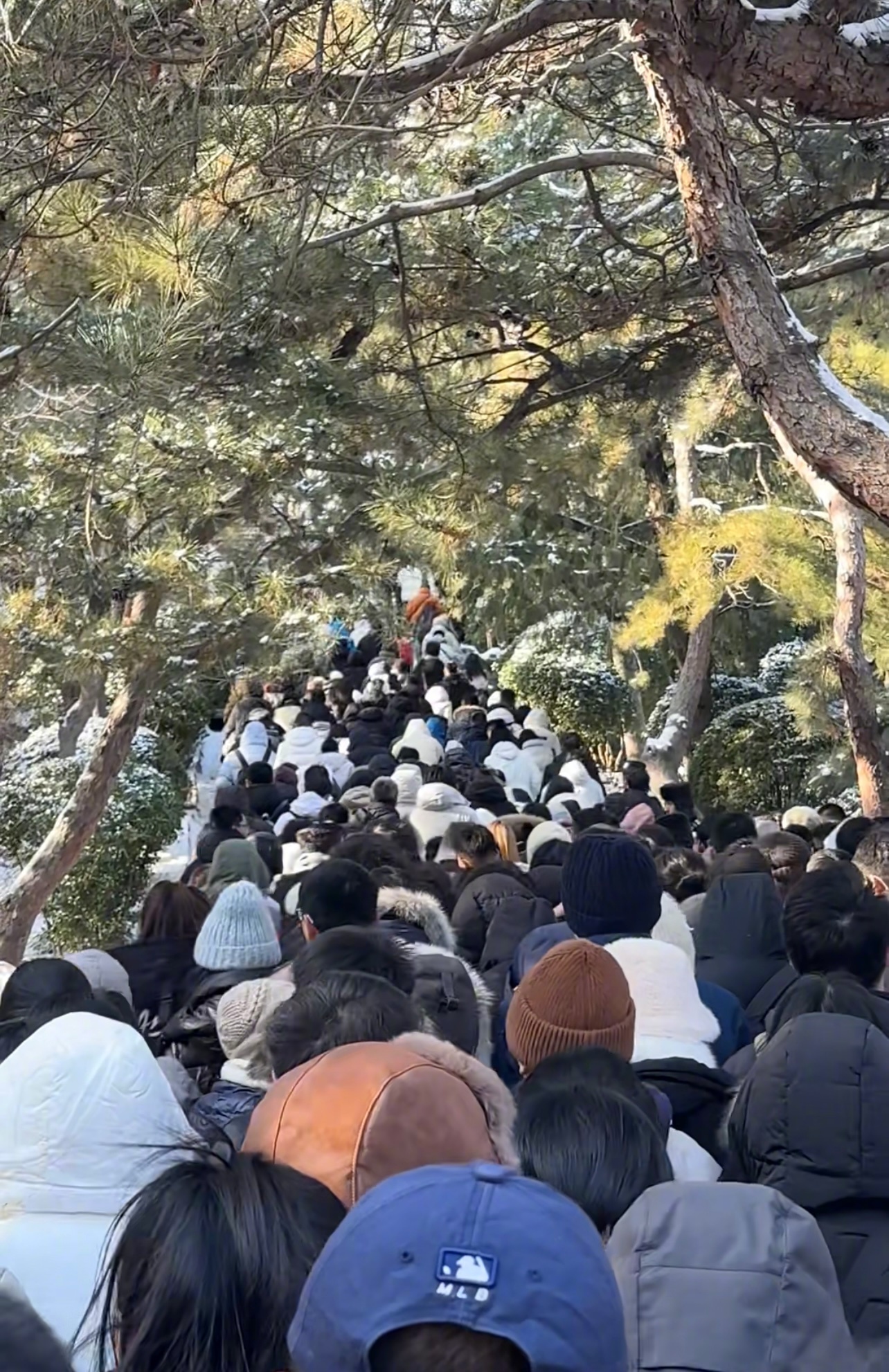 其实，昨天的雪下得很薄，今天都成了冰溜子。感受一下景山公园和天坛的人海！早晨看了