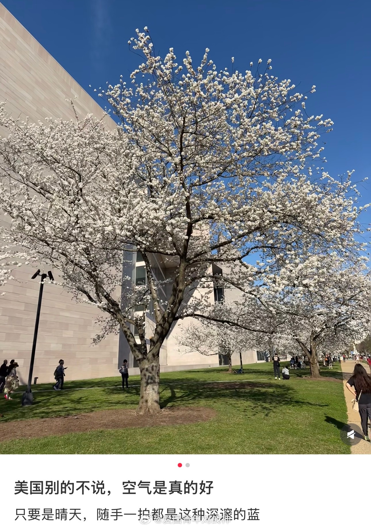美国空气真的香甜？海外新鲜事热点现场