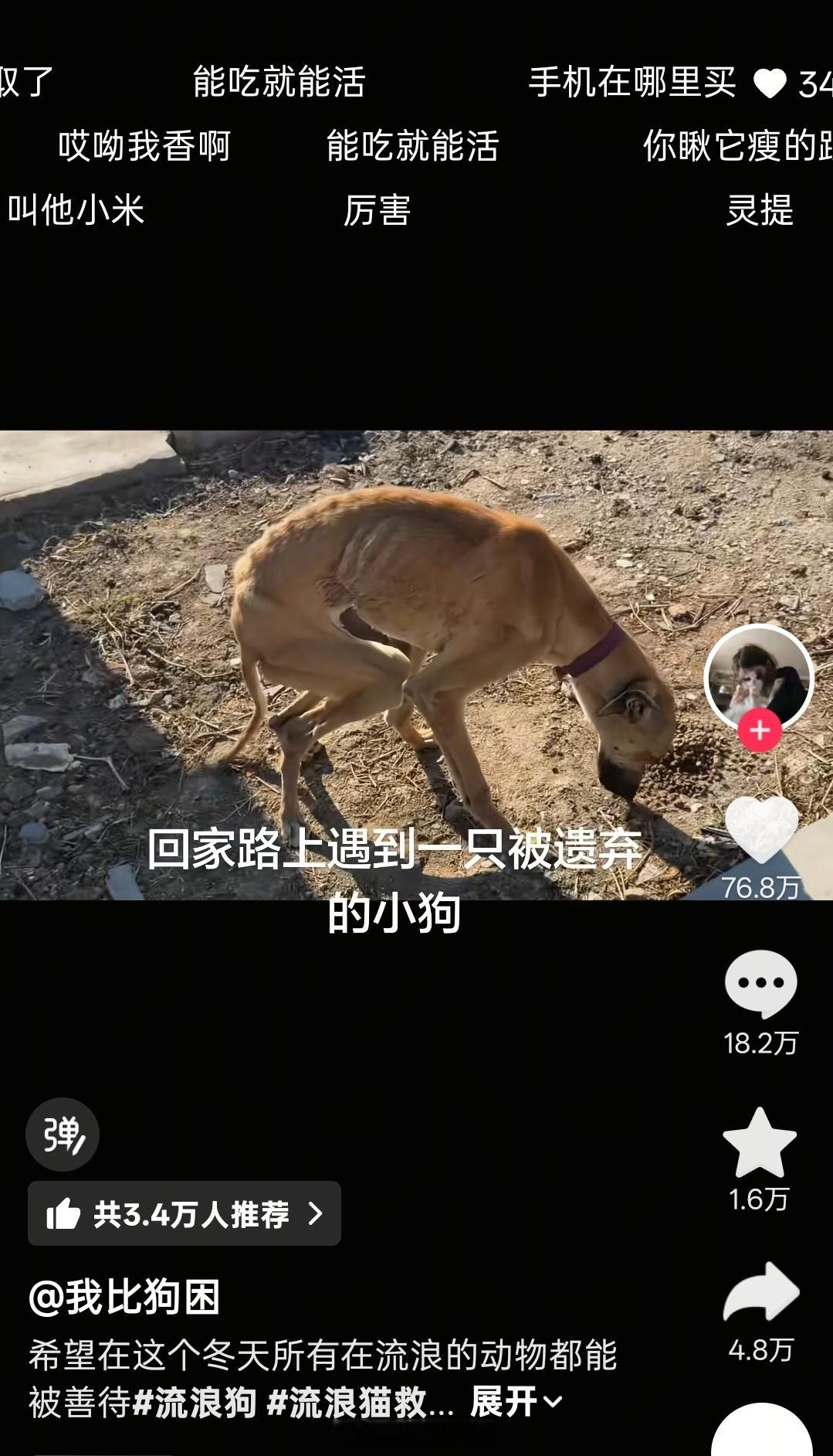 小米营销不到位啊，这么好的机会都不投，精力反而放到kol身上 