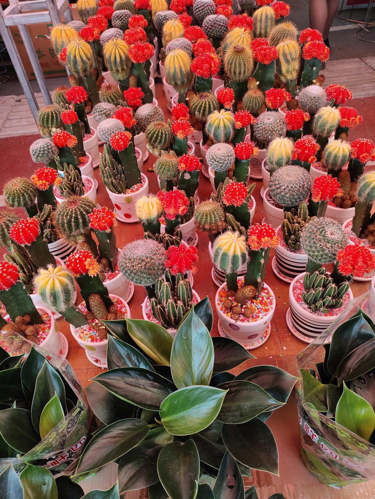 越是懂事的人，越没人疼，越善良的人，越受委屈
 
咱身边肯定都有这样的人：谁喊帮