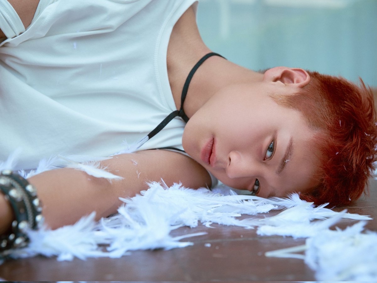 朴志训SOLO单曲一辑【𝗥𝗘:𝗙𝗟𝗘𝗖𝗧-𝟭𝘀𝘁 𝗦𝗶?