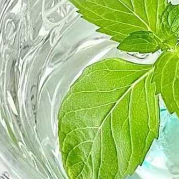 我们生在红旗下，长在春风里。人民有信仰，国家有力量。目光所致皆为华夏，五星闪耀皆