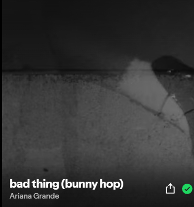 这首《bad thing (bunny hop) 》前奏出来的时候，我还以为sp
