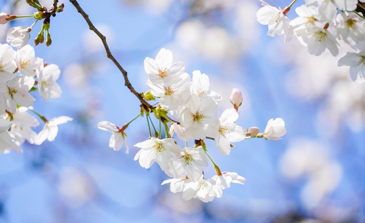 丈夫在外包养了一个情人，很想和妻子离婚，可总开不了口。一天深夜，丈夫幽会回来，敲