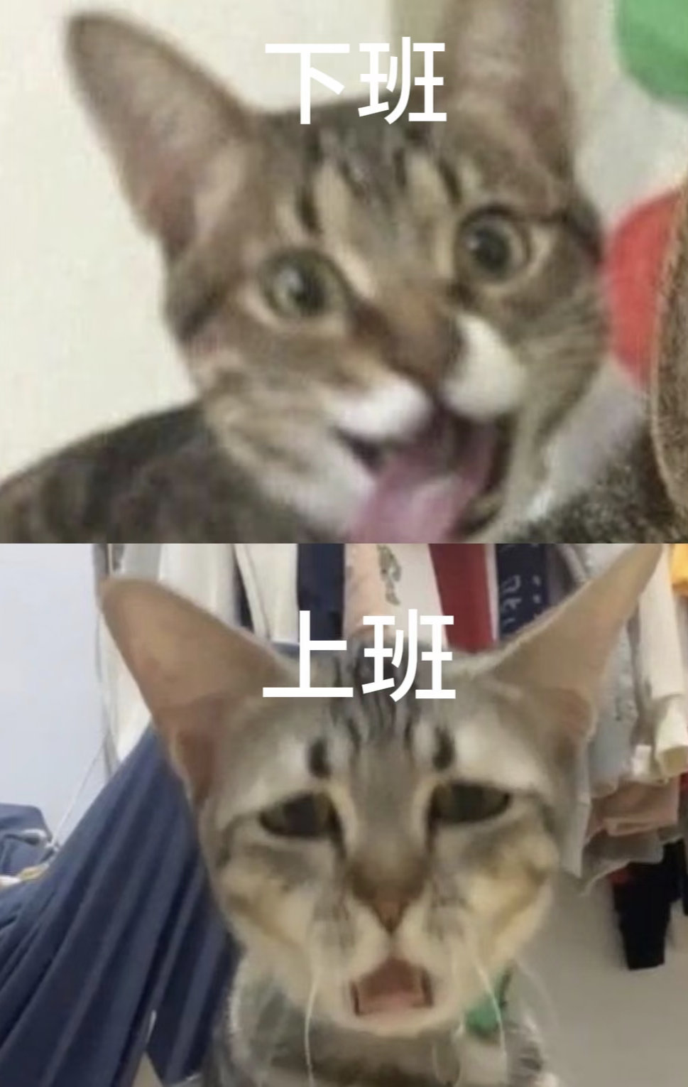 签到签到签到放假就是爽           