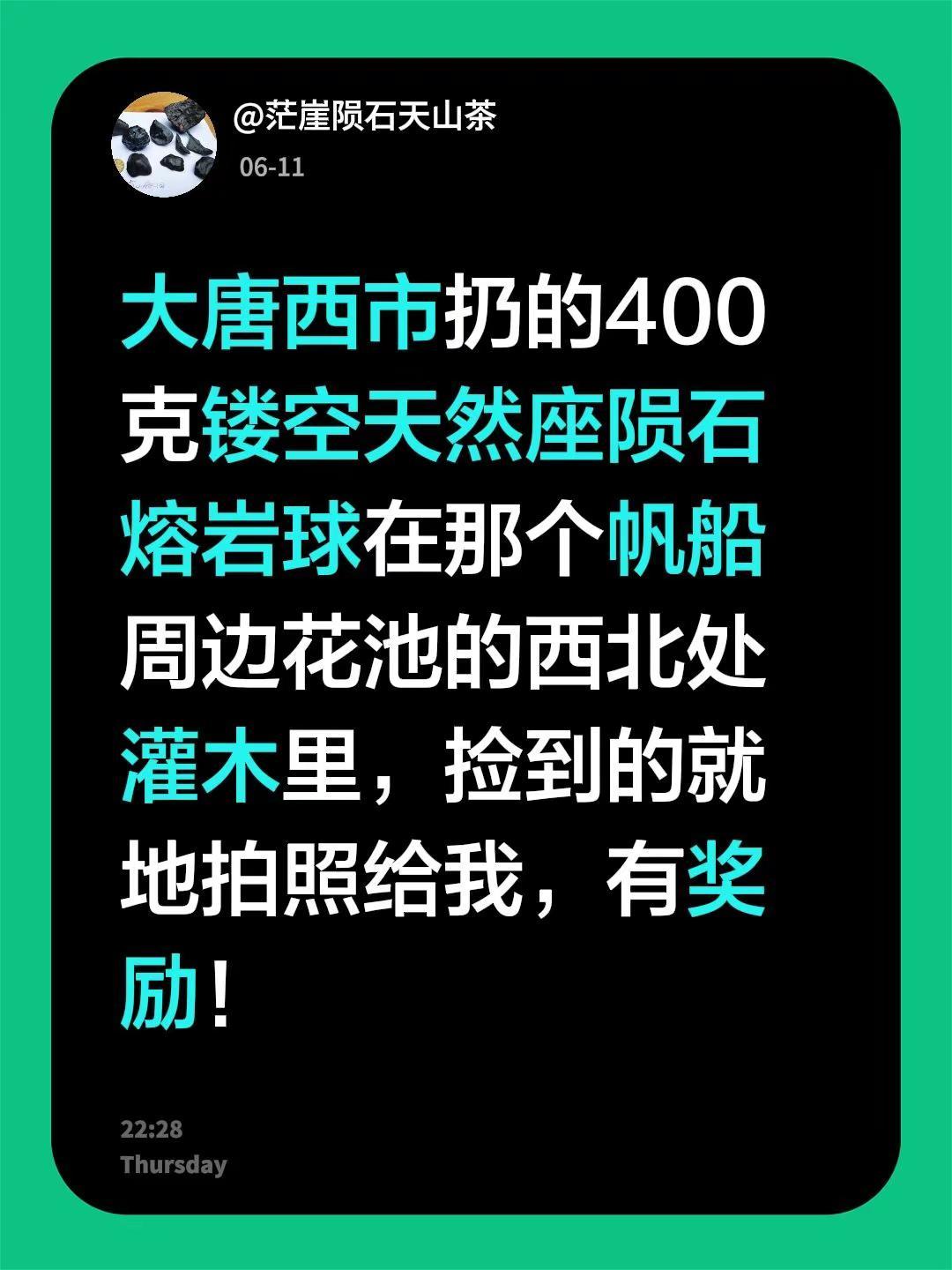 大唐西市扔的400克镂空天然座陨石熔岩球在那个帆船周边花池的西北处灌木里，捡到的