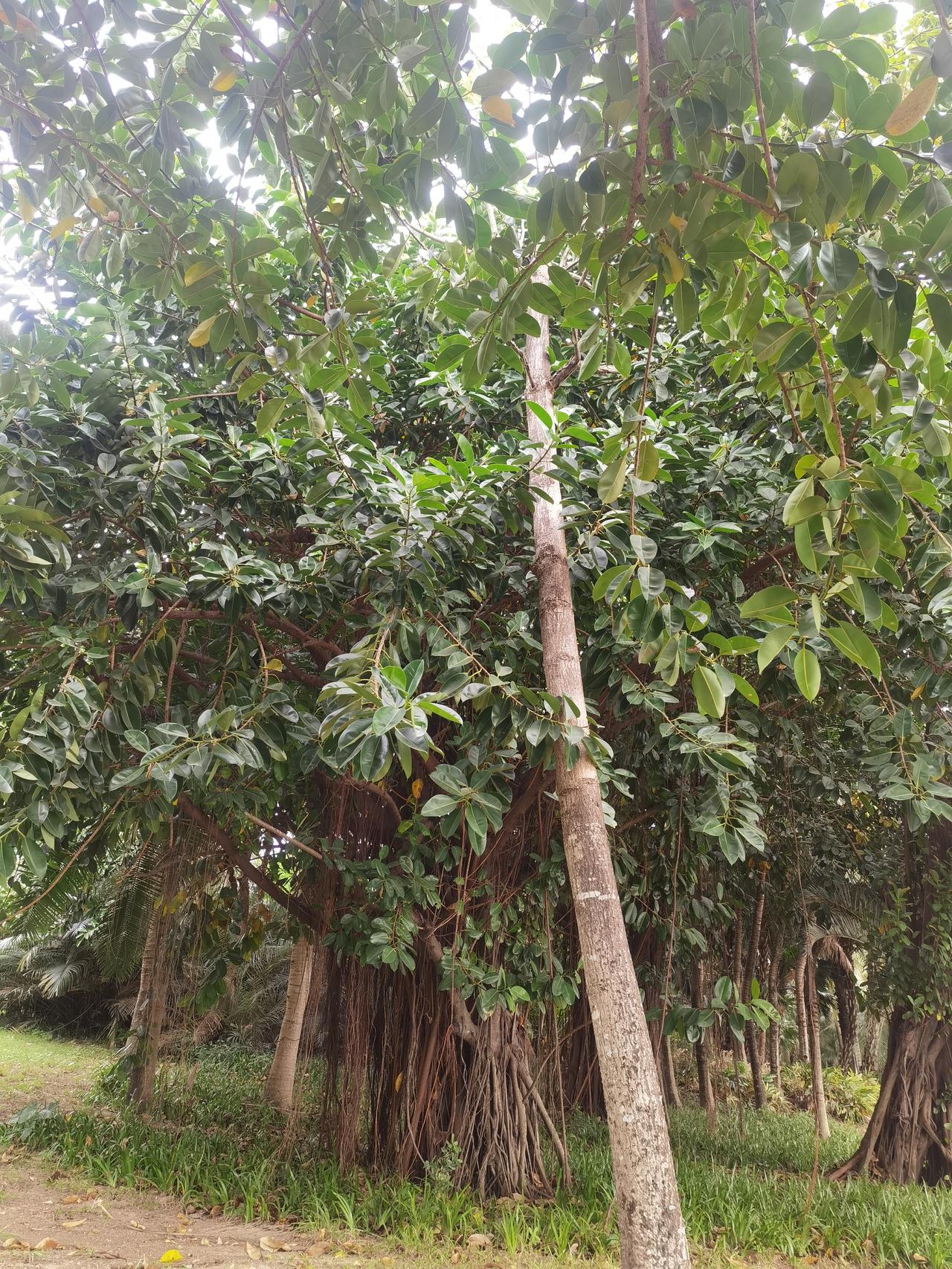 人生最大的幸事是什么？
我认为是把自己的孩子养成自己的依靠。

尤其是独生子女。