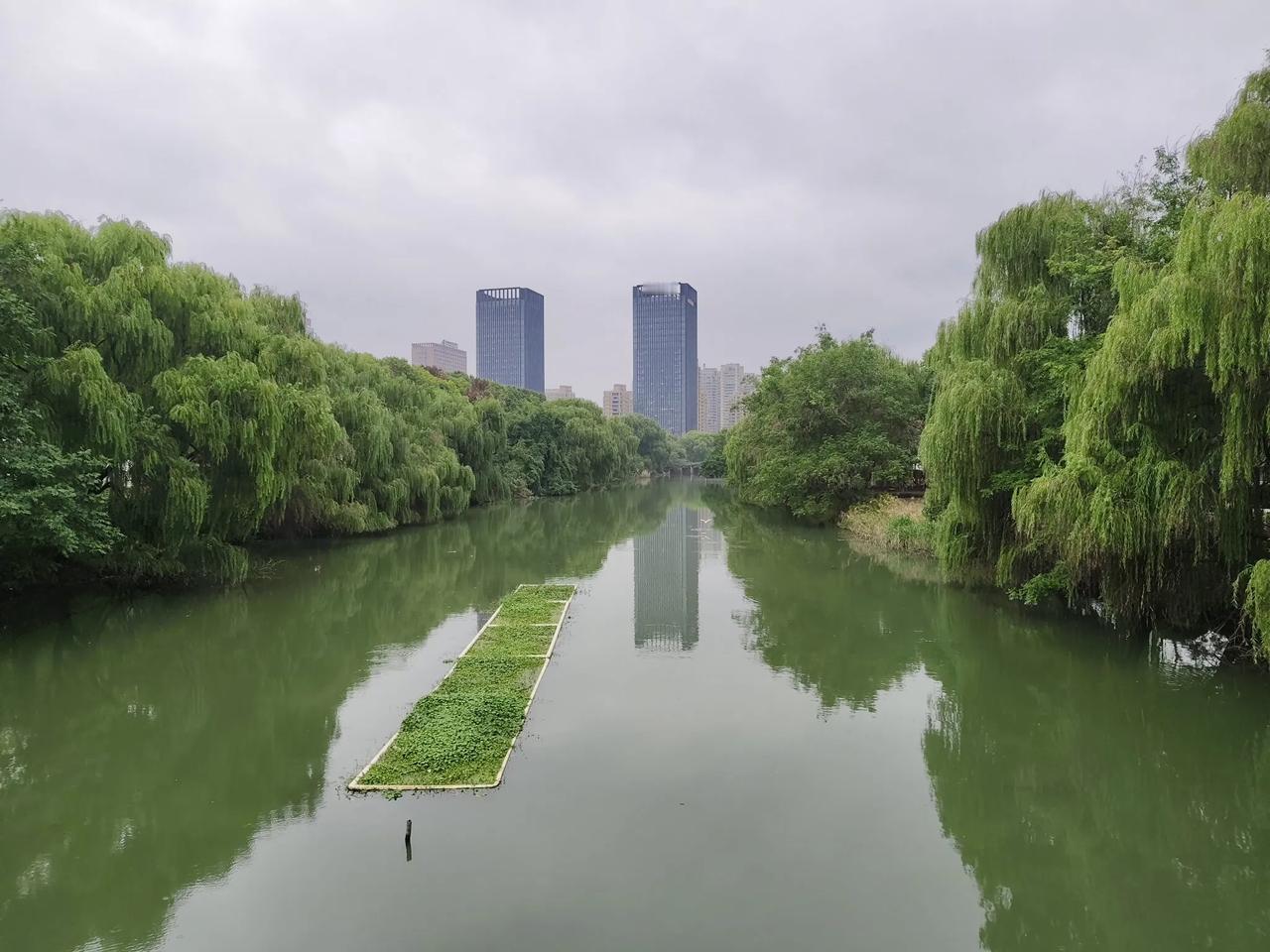 #秋日出游随手拍#
河中倒映着天空绿树高楼，尽管天气阴沉，但仍然挡不住我欣赏美景