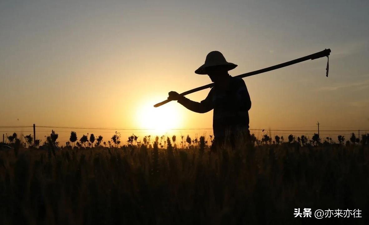 为什么要善待农民呢？你知道吗？因为国家财政的“家底”里，藏着农民几代人的“隐形贡