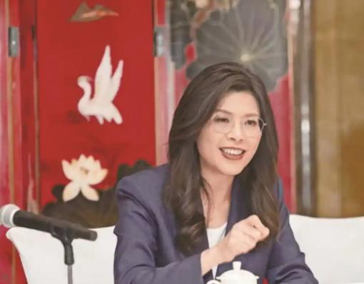 郑丽文一句话掀起岛内震动！承认“台湾从未独立”后，国民党未来路线终于摊牌？两岸关