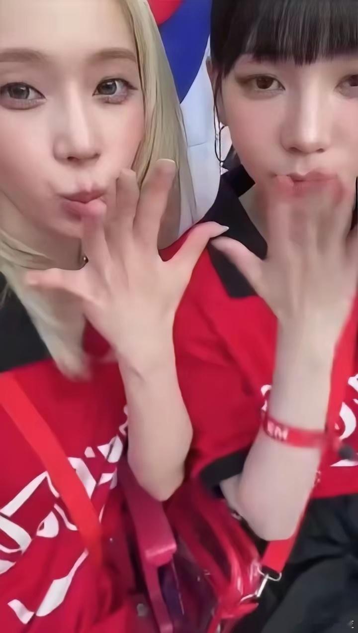 韩国队的女球迷颜值好高😲美加墨世界杯